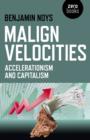 Malign Velocities - Accelerationism and Capitalism - Book