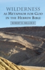 Wilderness as Metaphor for God in the Hebrew Bible - eBook