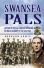 Swansea Pals : A History of the 14th (Service) Battalion, The Welsh Regiment in The Great War - eBook