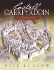 Castell Caerfyrddin : Olrhain Hanes Llywodraethiant - eBook