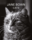 Jane Bown: Cats - Book