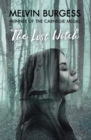 The Lost Witch - Book