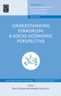 Understanding Terrorism : A Socio-Economic Perspective - eBook