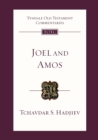 Joel and Amos : An Introduction And Commentary - Book