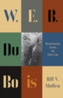 W.E.B. Du Bois : Revolutionary Across the Color Line - eBook