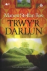 Cyfres yr Onnen: Trwy'r Darlun - eBook