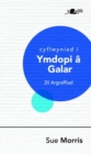 Cyflwyniad i Ymdopi a Galar - eBook