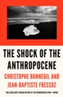 The Shock of the Anthropocene : The Earth, History and Us - Book