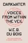 Darkwater : Voices from Within the Veil - eBook