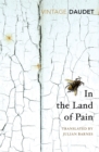In the Land of Pain - Book