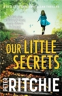 Our Little Secrets - Book