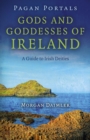 Pagan Portals - Gods and Goddesses of Ireland : A Guide to Irish Deities - eBook