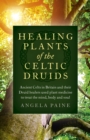Healing Plants of the Celtic Druids : Ancient Celts in Britain and their Druid healers used plant medicine to treat the mind, body and soul - eBook