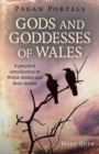 Pagan Portals - Gods and Goddesses of Wales : A practical introduction to Welsh deities and their stories - Book