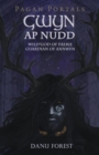 Pagan Portals - Gwyn ap Nudd : Wild god of Faery, Guardian of Annwfn - eBook