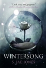 Wintersong - Book