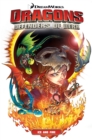 Dragons Defenders of Berk: Ice and Fire - Book