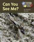 Can You See Me - eBook