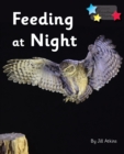 Feeding at Night : Phonics Phase 3 - eBook