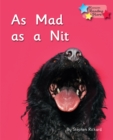 As Mad as a Nit : Phonics Phase 2 - eBook