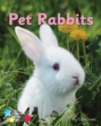 Pet Rabbits : Phonics Phase 3 - eBook