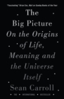 The Big Picture : On the Origins of Life, Meaning, and the Universe Itself - Book