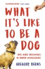 What It's Like to Be a Dog : And Other Adventures in Animal Neuroscience - Book