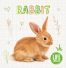 Rabbit - Book