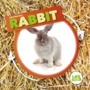 Rabbit - Book