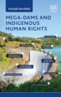 Mega-Dams and Indigenous Human Rights - eBook