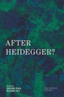 After Heidegger? - eBook