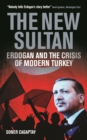 The New Sultan : Erdogan and the Crisis of Modern Turkey - eBook