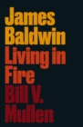 James Baldwin : Living in Fire - eBook