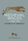 Medieval Wales c.1050-1332 : Centuries of Ambiguity - eBook