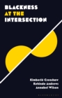 Blackness at the Intersection - eBook