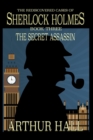 The Secret Assassin - eBook