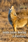 Gentle Coyote Howling in Wild Prairies - eAudiobook