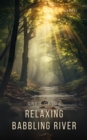Relaxing Babbling River - eAudiobook