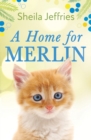 A Home for Merlin - Book