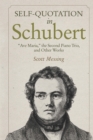 Self-Quotation in Schubert : Ave Maria, the Second Piano Trio, and Other Works - eBook