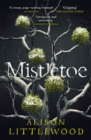 Mistletoe : 'The perfect read for frosty nights' HEAT - Book