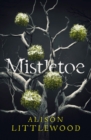 Mistletoe : 'The perfect read for frosty nights' HEAT - eBook