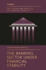 The Banking Sector Under Financial Stability - eBook