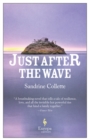 Just After the Wave - Book