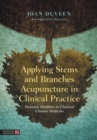 Applying Stems and Branches Acupuncture in Clinical Practice : Dynamic Dualities in Classical Chinese Medicine - eBook