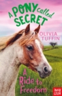 A Pony Called Secret: A Ride To Freedom - eBook
