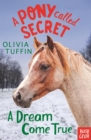 A Pony Called Secret: A Dream Come True - eBook