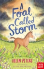 A Foal Called Storm - eBook