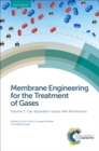 Membrane Engineering for the Treatment of Gases : Volume 1: Gas-separation Issues with Membranes - eBook