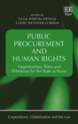 Public Procurement and Human Rights : Opportunities, Risks and Dilemmas for the State as Buyer - eBook